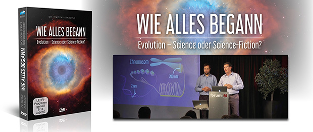 Bitte Bilder anzeigen